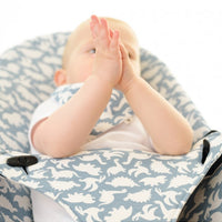 BabyBjorn® Bouncer Cover - Baby Dinos